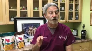Why Feed Raw with Dr. B