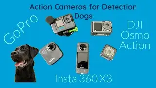 Action Cameras for Detection Dog Handlers and Trainers