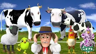 El Pollito pío 3d | el Toro y el Tractor de la Granja | el Pollito y el Tractor de la Granja