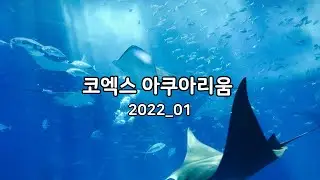 코엑스 아쿠아리움 방문기 2022년 1월 #코엑스아쿠아리움
