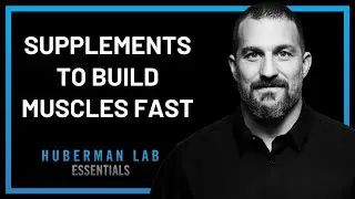 Neuroscientist: Top 3 Supplements to BOOST Performance | Andrew Huberman