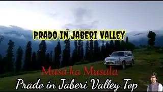 Prado In Jaberi Valley  Short video