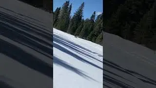Arctic cat riot x 800 with jaws rowdy can