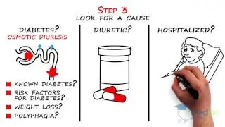 Endocrinology - Polyuria: By Jeannette Goguen M.D.