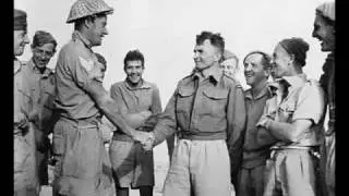 WWII New Zealand Tribute