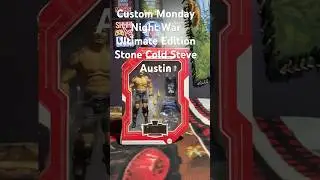 Custom Stone Cold Steve Austin Action Figure from the Ultimate Edition of the Monday Night War.