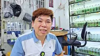 C&aacute;ch Mua C&aacute; Gi&aacute; Rẻ - Combo b&ecirc;n Shop BETTA COFFY