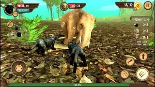 Wild Panther Sim 3D Android Gameplay HD #2
