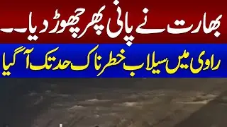 Flash Flood in Ravi River | Dam breach in India made flooding worse | Samaa TV