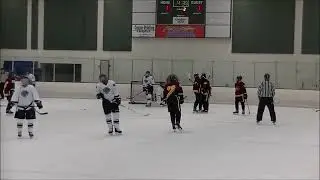 HPHL 2019   Volume 1