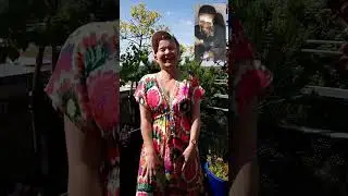 😂Funniest video of all time, this is called laughter yoga 😂 #funny #yoga #youtube #youtubeshorts