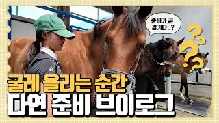 준비가 곧 경기다 VLOG   한다연 승마✨