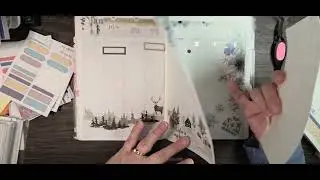 January PWM and flip through