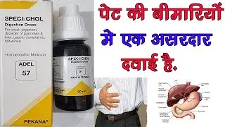 ADEL 57 Specl-Chol Digestion Drop Ke Fayde | खांस नहीं पचना,गैस,एसिडिटी,कब्ज़,बवासीर | Homeopathic