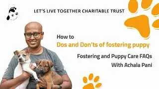 Dos and Don&rsquo;ts of fostering a puppy| Puppy Care FAQs with Achala Pani | Let&rsquo;s Live Together