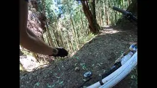 MTB3