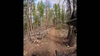 Frisco, CO trails 