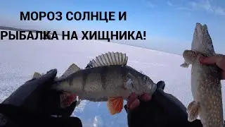 РЫБАЛКА НА ОЗЕРЕ РАЗНА! ОКУНЬ НА БАЛАНСИР И ЩУКА НА ФЛАЖОК! РЫБАЛКА В ЛАТГАЛИИ!