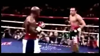 THE BEST OF MAYWEATHER JR