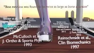 Running Shoe Fit Process