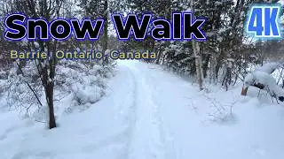 Snow Walk - 4K - Nature Sounds