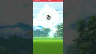 ✨Shiny Axew✨ Caught In Pok&eacute;mon Go