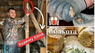 Другий поверх НЕМОЖЛИВО ремонтувати || Кубло мишей в будинку || Смачний ПІСНИЙ кекс || Життя в селі