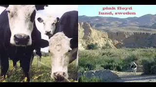 PINK FLOYD LUND SWEDEN 03 20 1970