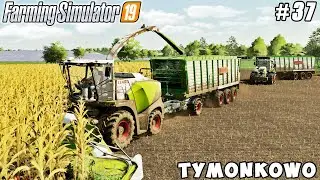 Harvesting corn silage | Tymonkowo Farm | Farming simulator 19 | Timelapse #37