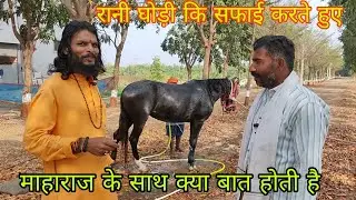 रानी घोड़ी कि बात हुई तो दिल को छू गई माहाराज जी प्रसन्न होकर कहा कि