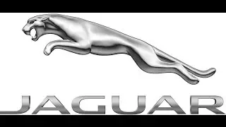 Каталог Jaguar Dealer
