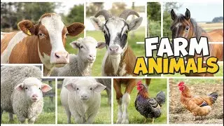 Farm Animals for Kids 🐄| Learn Domestic Animal Names with Real Videos