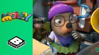 Mis Mosh's Top 3 Inventions | Cartoons For Kids | Moley | @cartoonito