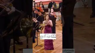 🎶 Mozart & Mambo! On Mozart K447 cadenza by Sarah Willis!
