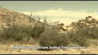 Reforestation in the California deserts with the Waterboxx