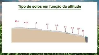 Ambientes de Produção da Cana-de-açúcar: a importância da Irrigação - Hélio de Prado (CANA-IAC)