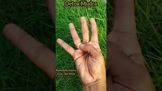 Detox Mudra🧘#detoxification #diseasefreelife #selfcare #yogaforlife #mudras #good #mudrabenefits