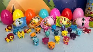 Surpresinhas Pet Monsters/ mostrando a cole&ccedil;&atilde;o