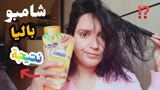 شامبو الشعر الجاف والجهد👇😳 الرطوبة تأثير مضاد للجفاف balea dm shampoo per capelli secchi danneggiati