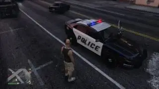 cop freak out/gta 5