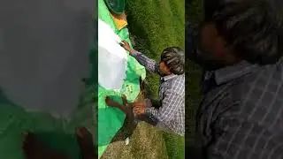 Vestige agri 82 live demo