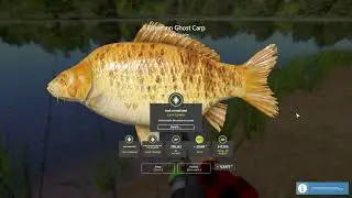 Trophy Common Ghost Carp 23.745kg - RF4 trophies - RF4
