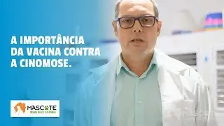 A import&acirc;ncia da vacina contra a Cinomose