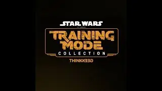 Star Wars Training Mode Collection - From ThinkGeek
