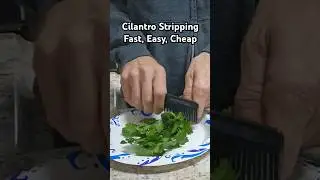 Cilantro Stripping - Fast, Easy, Cheap