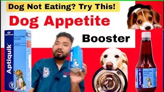 aptiquik dog syrup uses in hindi | aptiquik dog syrup uses | Aptiquik Syrup for Dogs |
