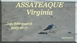 ASSATEAQUE ISLAND VA  Jan.Febr March 2015-16-17 LasaVentures