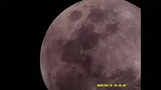 4K Digital Telescope | HD Moon, Bird & Star Watching Scope with Dual Screens