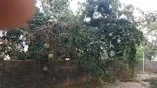 Radhy radhy jai shri shyam dosto  kaasy h aap sab. Aasha h ki aap sab achy honhy