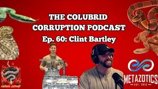 Discussing the Reptile Industry & Business w/ Clint Bartley | Colubrid Corruption | Ep. 60